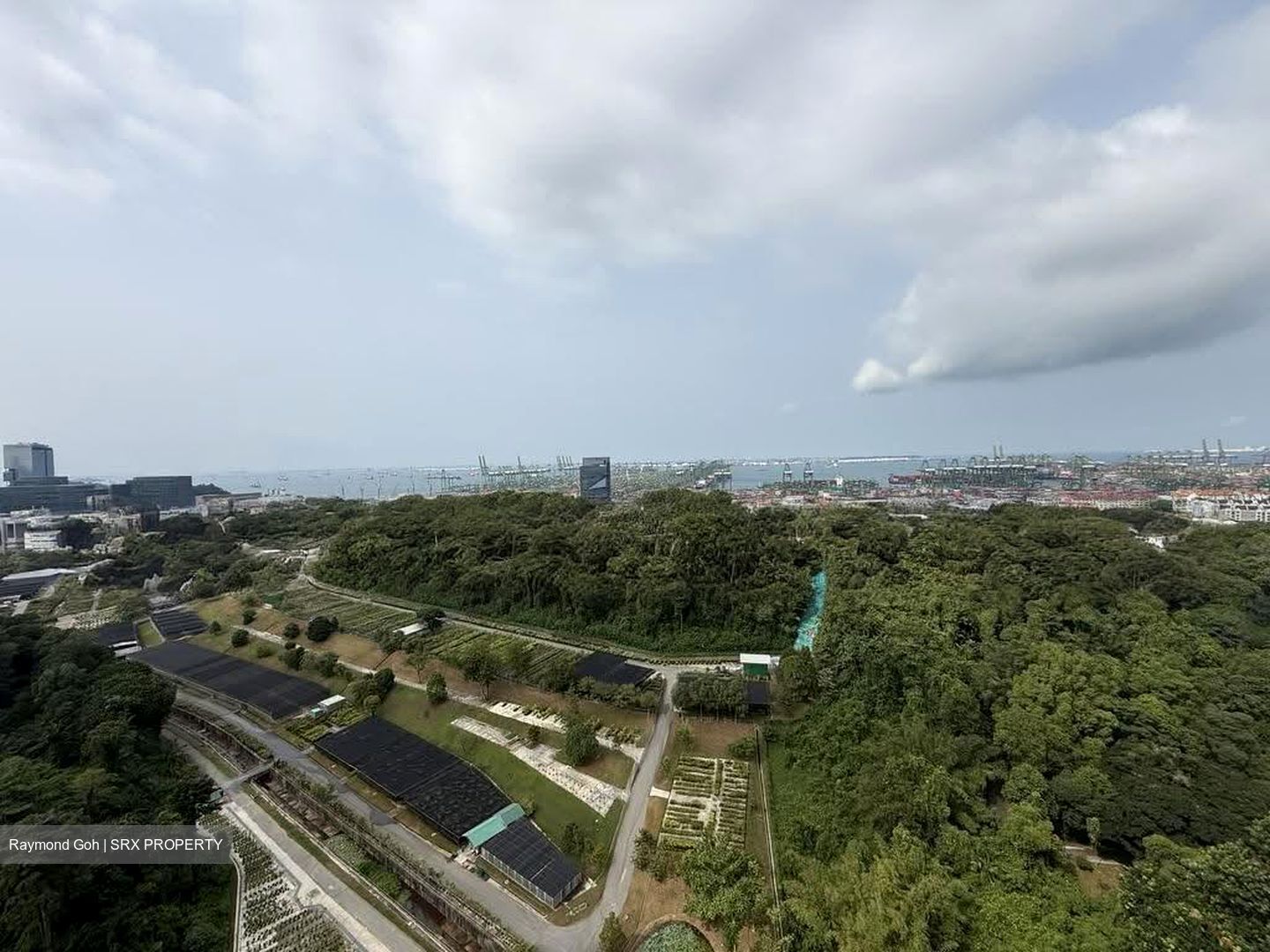 Normanton Park (D5), Apartment #612065881
